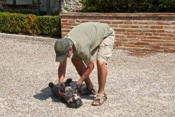 Sean Tickling Tillie