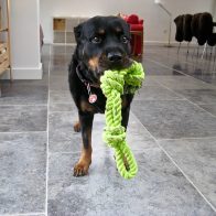 Mia with Rope Toy