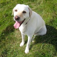 Lucy on the Coast Path