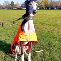Valentina on the Links