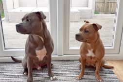 Uncle Hugo & Neice Harley