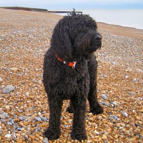Mike & Margaret, Rustington
