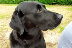 Betty Looking at Sean