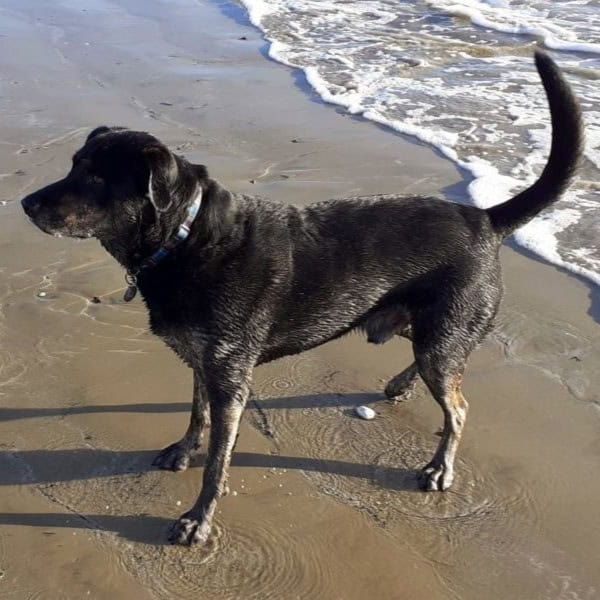 Rob & Laura, Middleton-on-Sea